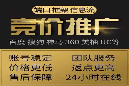竞价广告策略案例分析